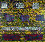 'Multi Reflex Network'